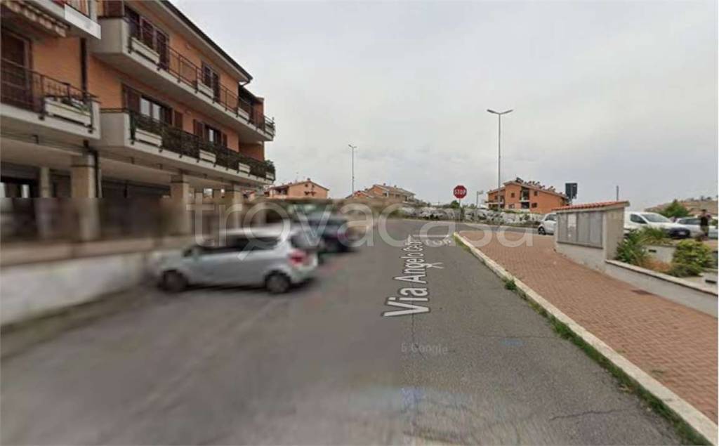 immagine annuncio 1 di 7