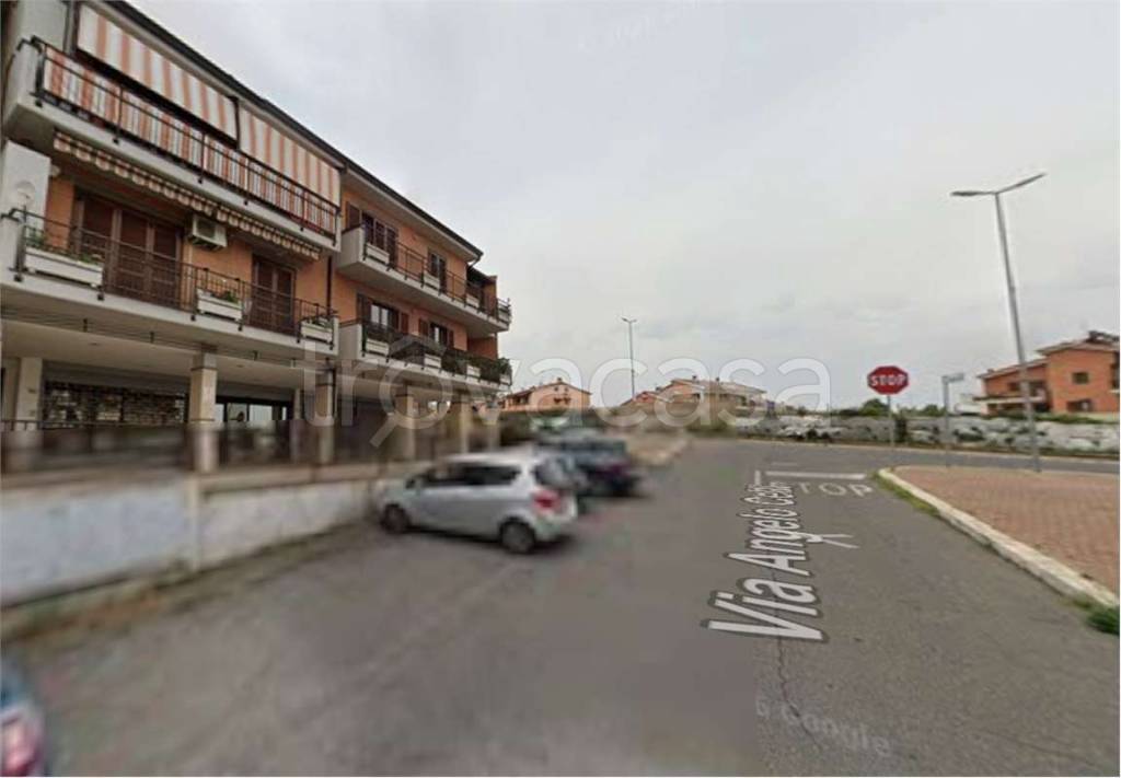 immagine annuncio 4 di 7