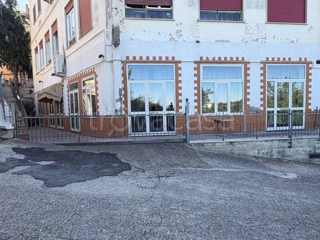 immagine annuncio 12 di 14