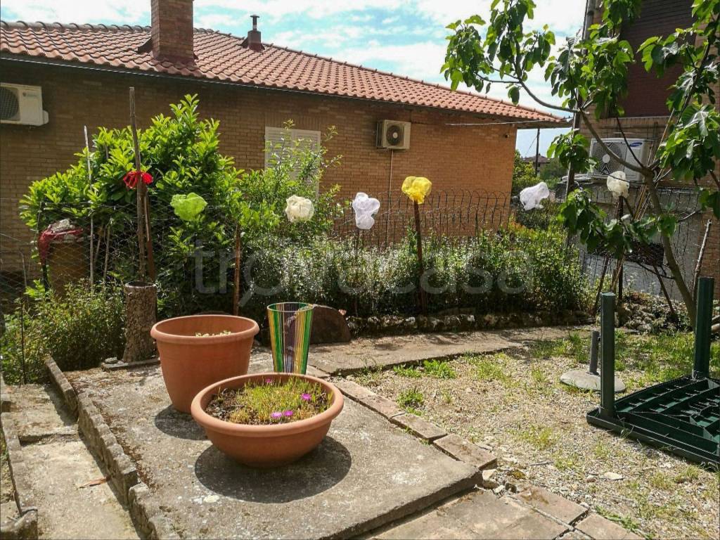 immagine annuncio 2 di 14