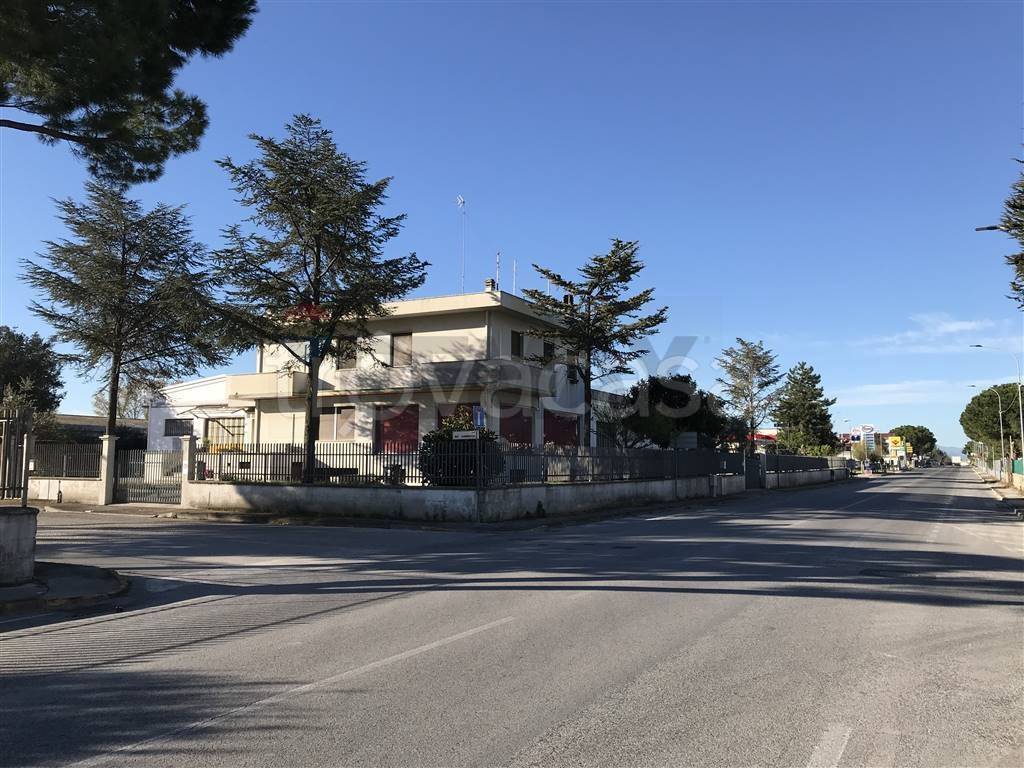 immagine annuncio 6 di 7