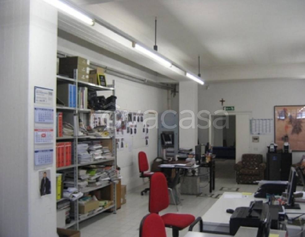 immagine annuncio 3 di 12