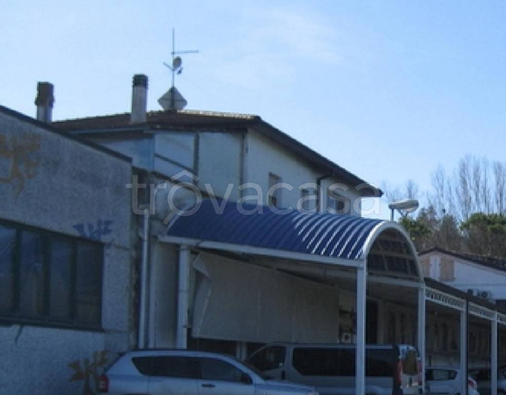 immagine annuncio 7 di 12