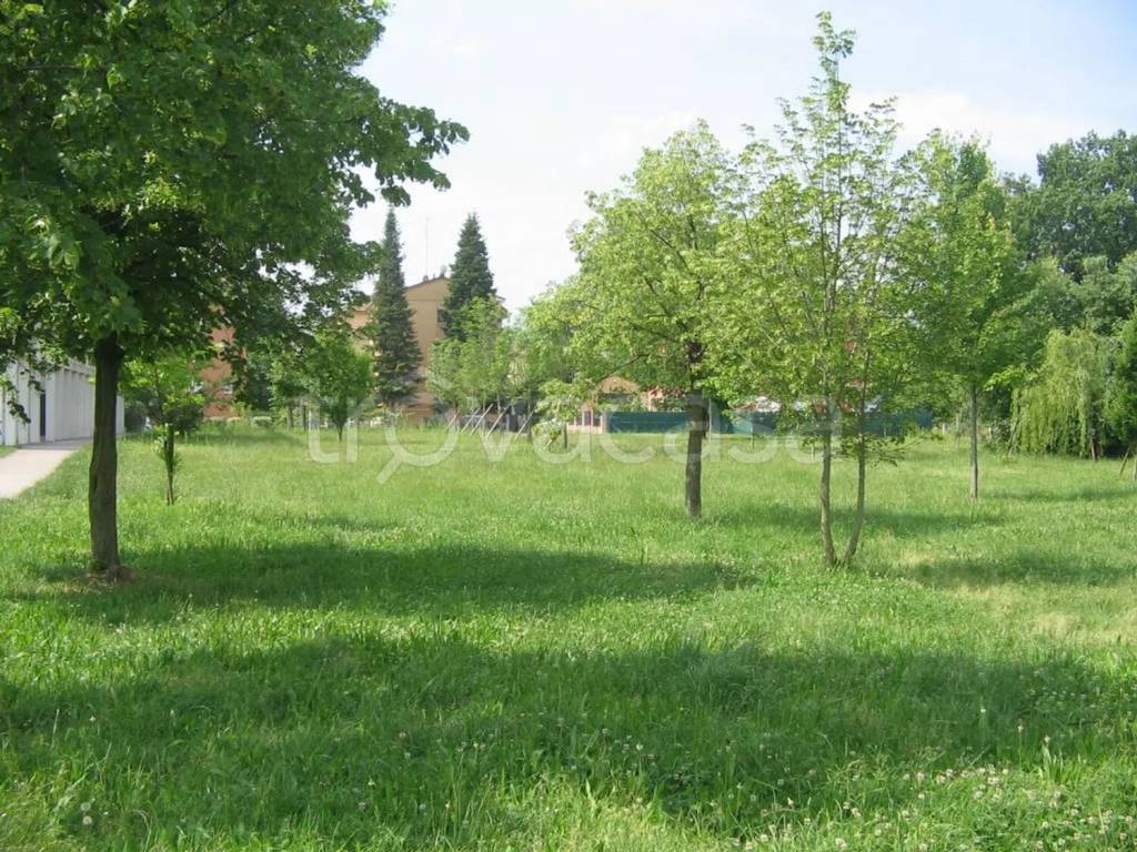 immagine annuncio 6 di 7