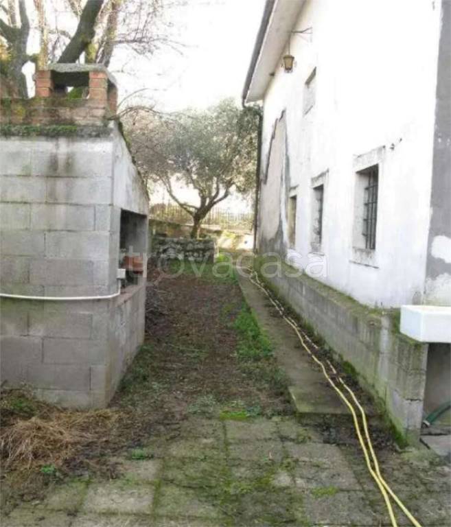 immagine annuncio 6 di 14