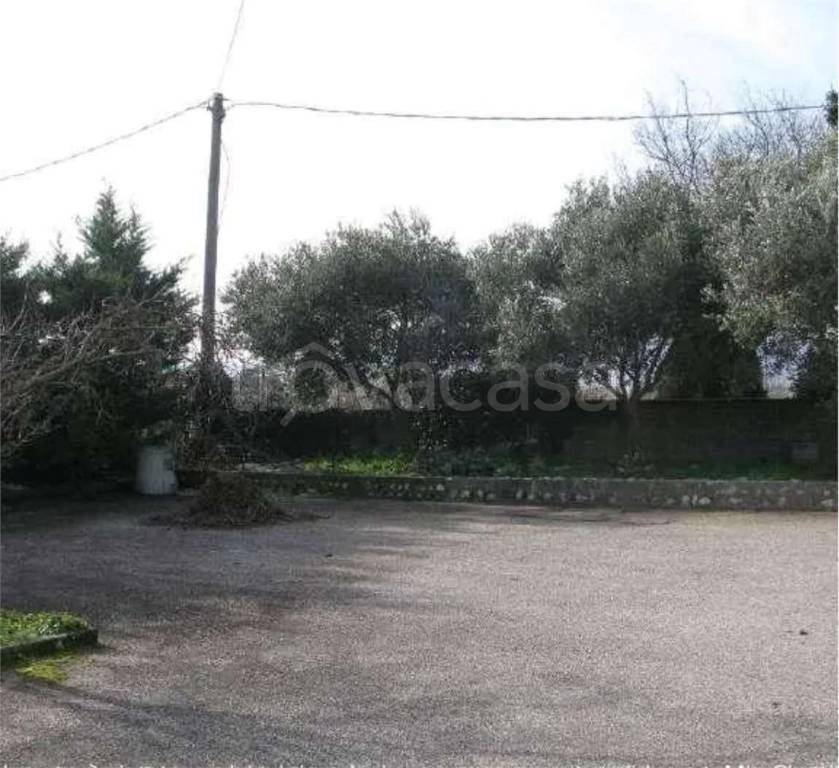 immagine annuncio 9 di 14