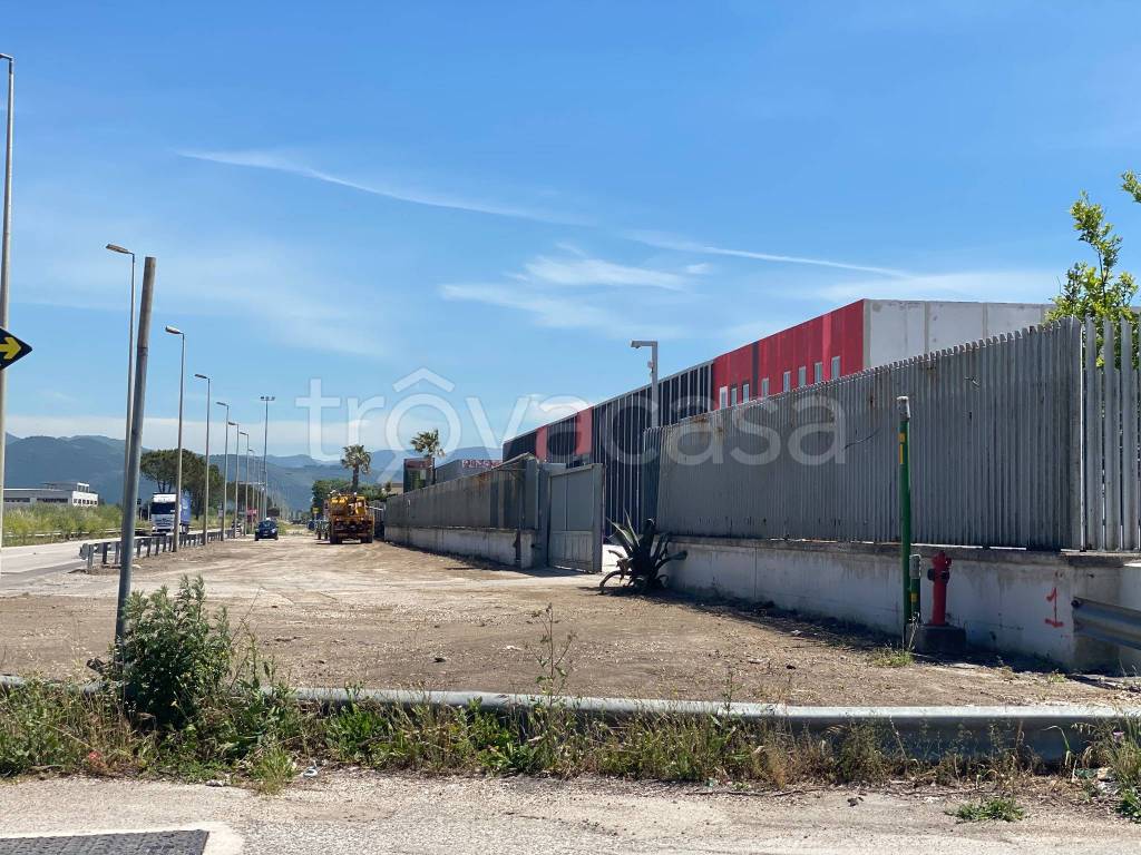 immagine annuncio 8 di 14