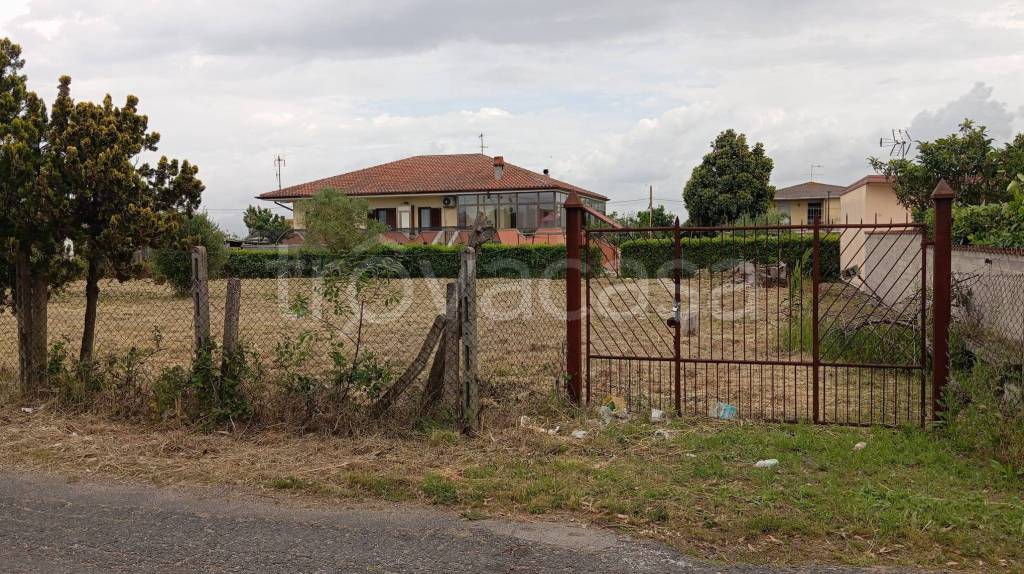 immagine annuncio 4 di 7