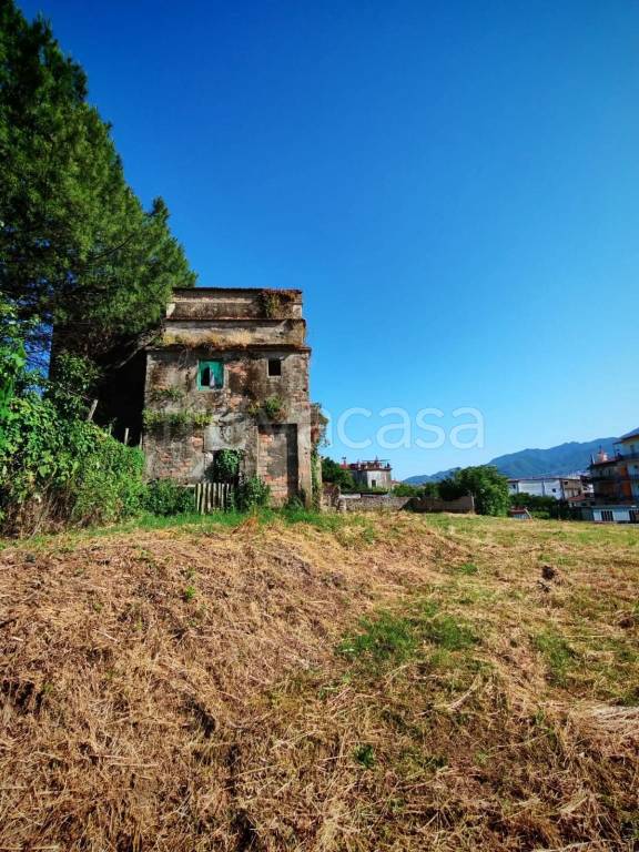 immagine annuncio 6 di 8