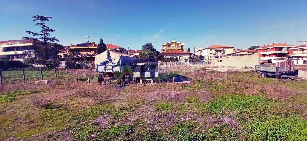 immagine annuncio 10 di 14