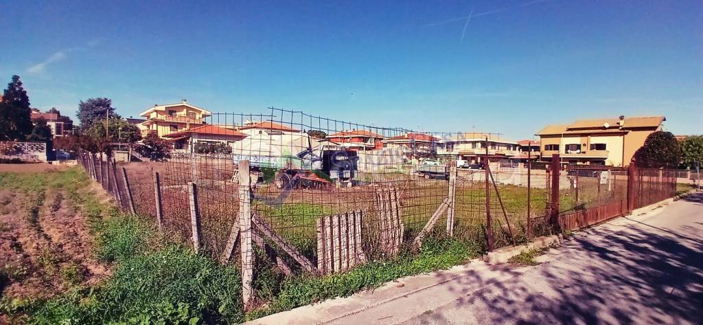 immagine annuncio 12 di 14