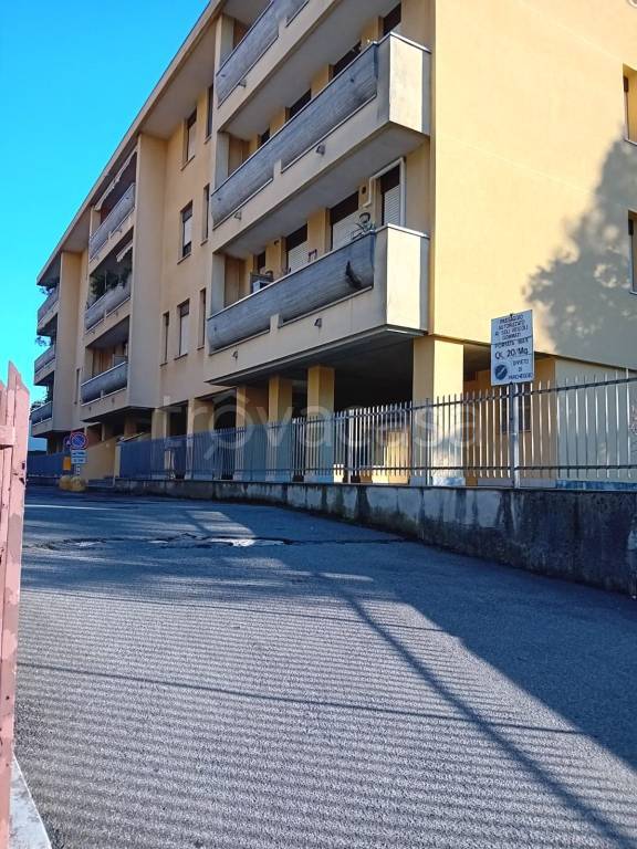 immagine annuncio 1 di 7
