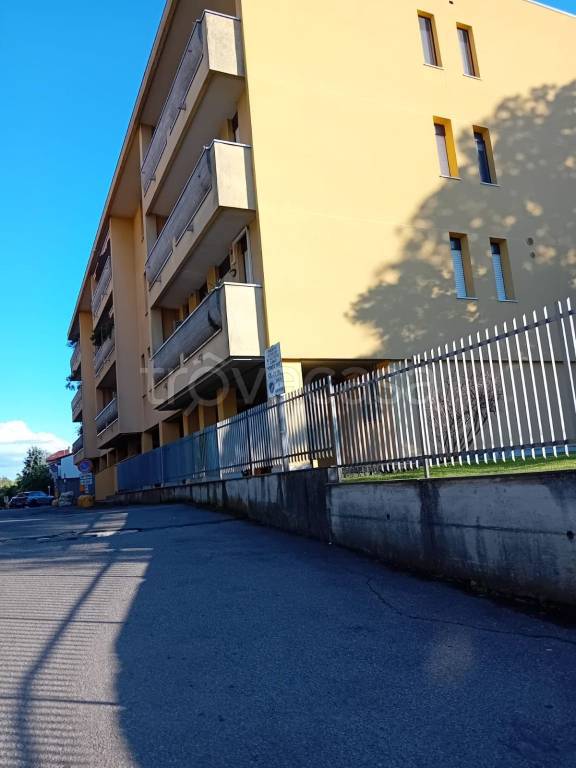immagine annuncio 2 di 7