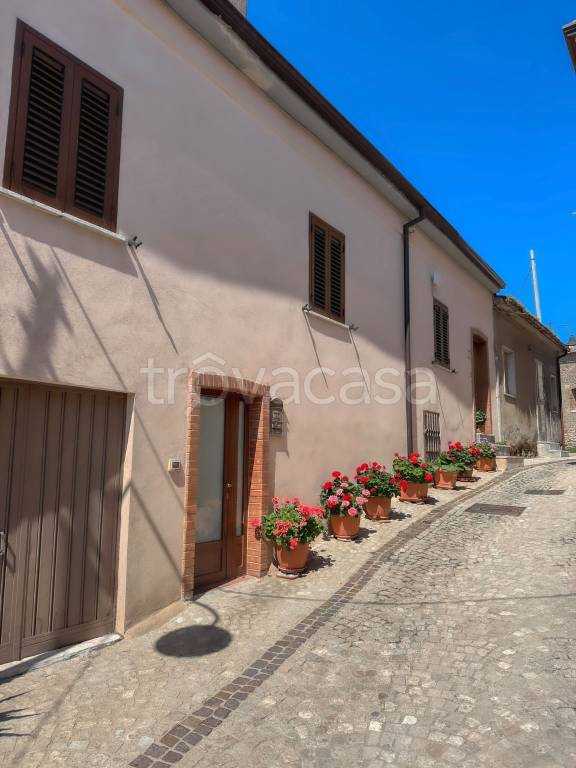 immagine annuncio 7 di 14