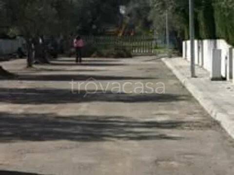 immagine annuncio 10 di 12