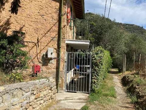 immagine annuncio 2 di 12