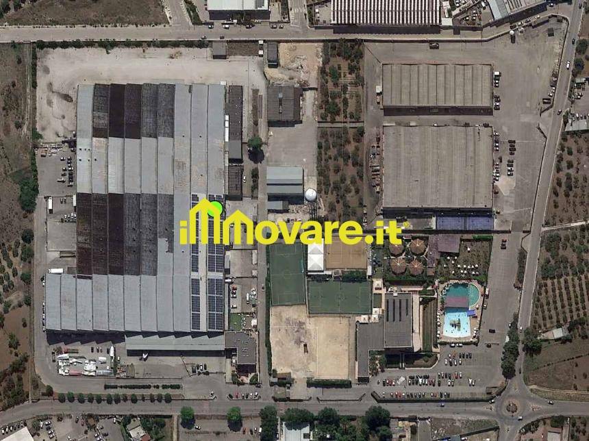 immagine annuncio 6 di 8
