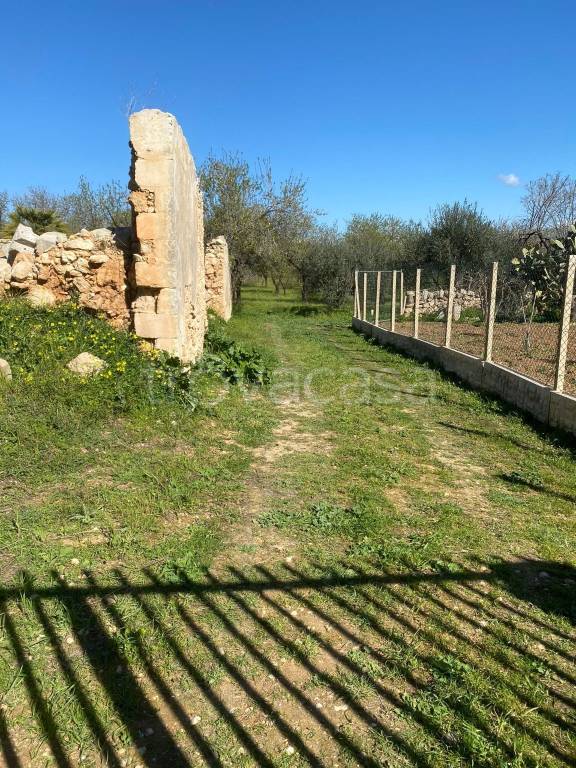 immagine annuncio 4 di 13