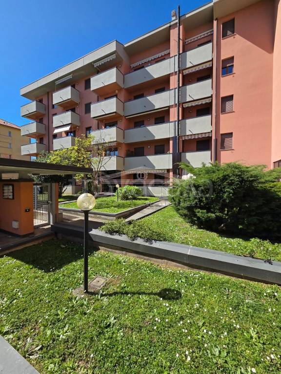immagine annuncio 5 di 15
