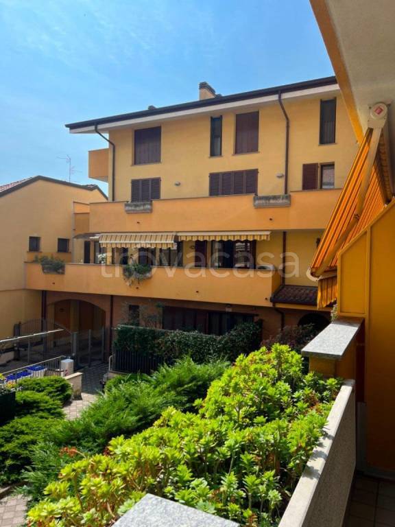 immagine annuncio 9 di 13