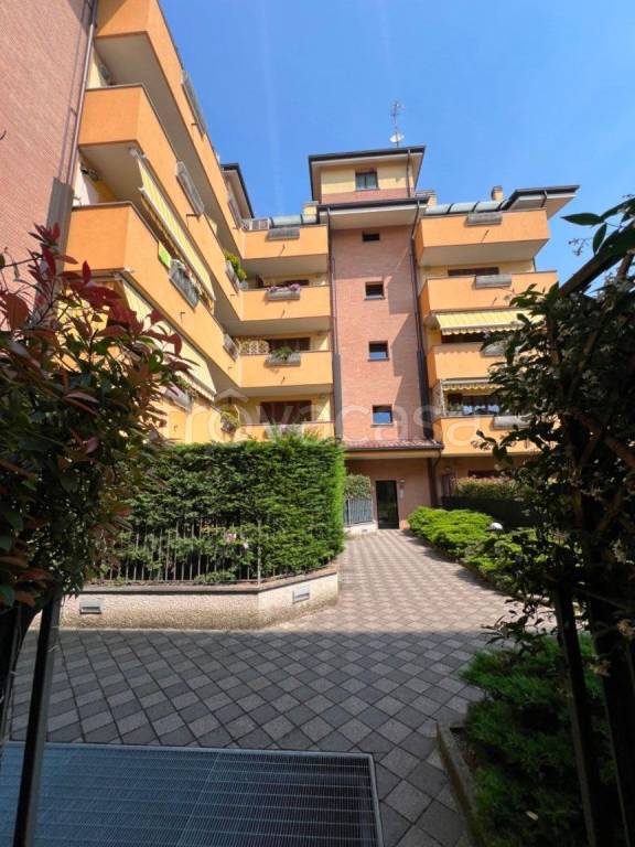immagine annuncio 2 di 13