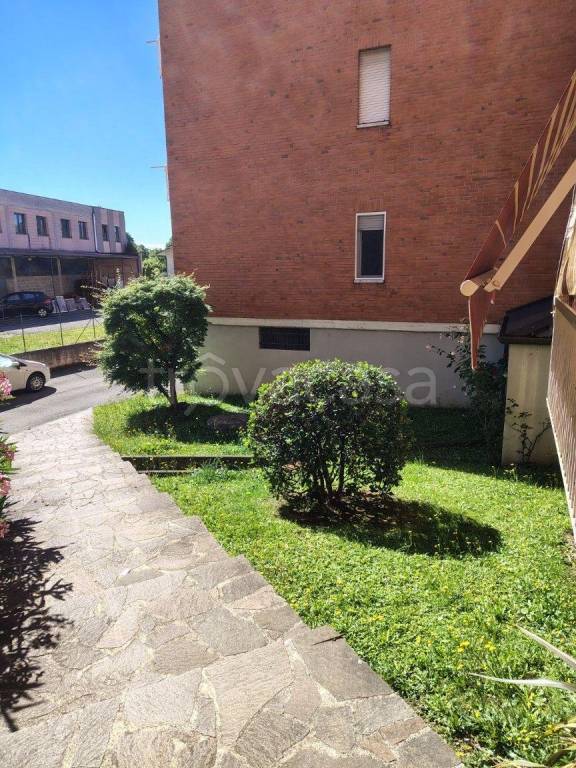 immagine annuncio 2 di 13