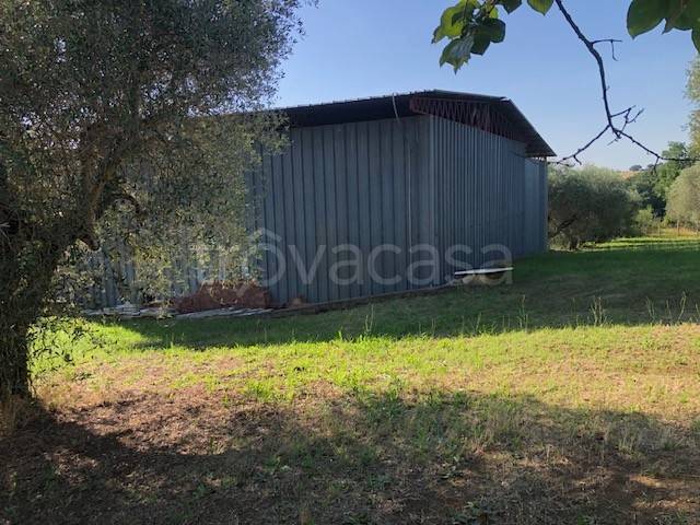 immagine annuncio 10 di 14