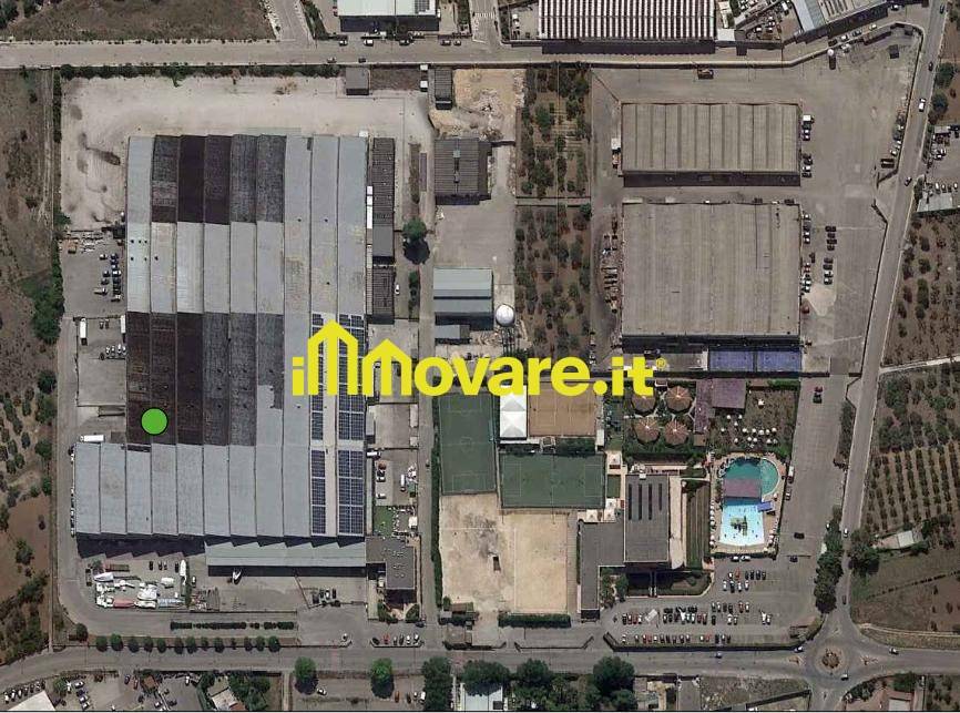 immagine annuncio 5 di 6