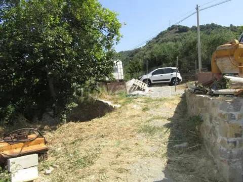 immagine annuncio 7 di 14
