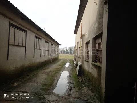 immagine annuncio 4 di 8