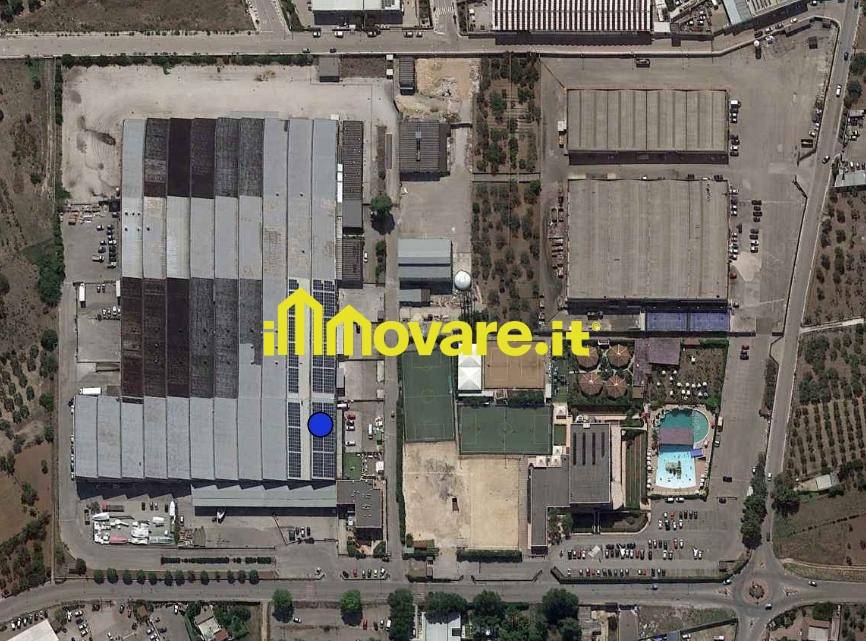 immagine annuncio 5 di 6