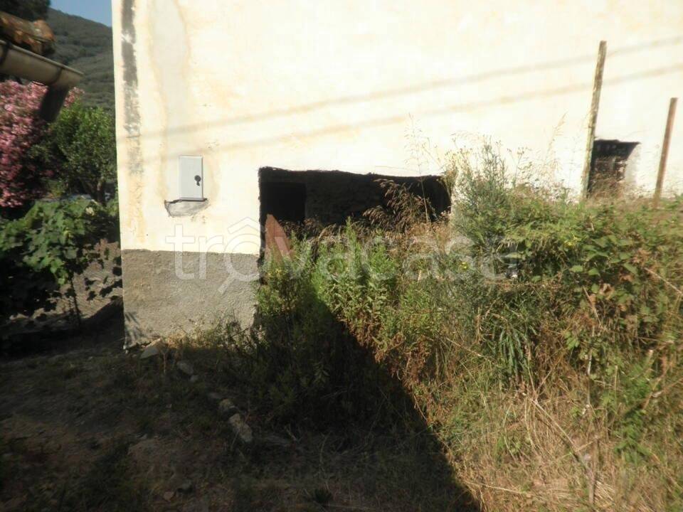 immagine annuncio 7 di 14