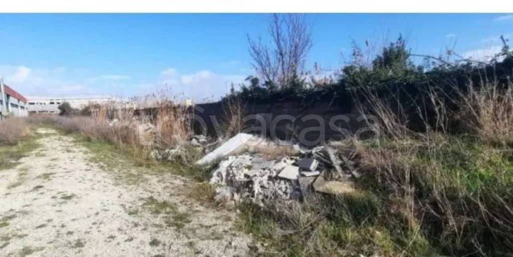 immagine annuncio 4 di 9