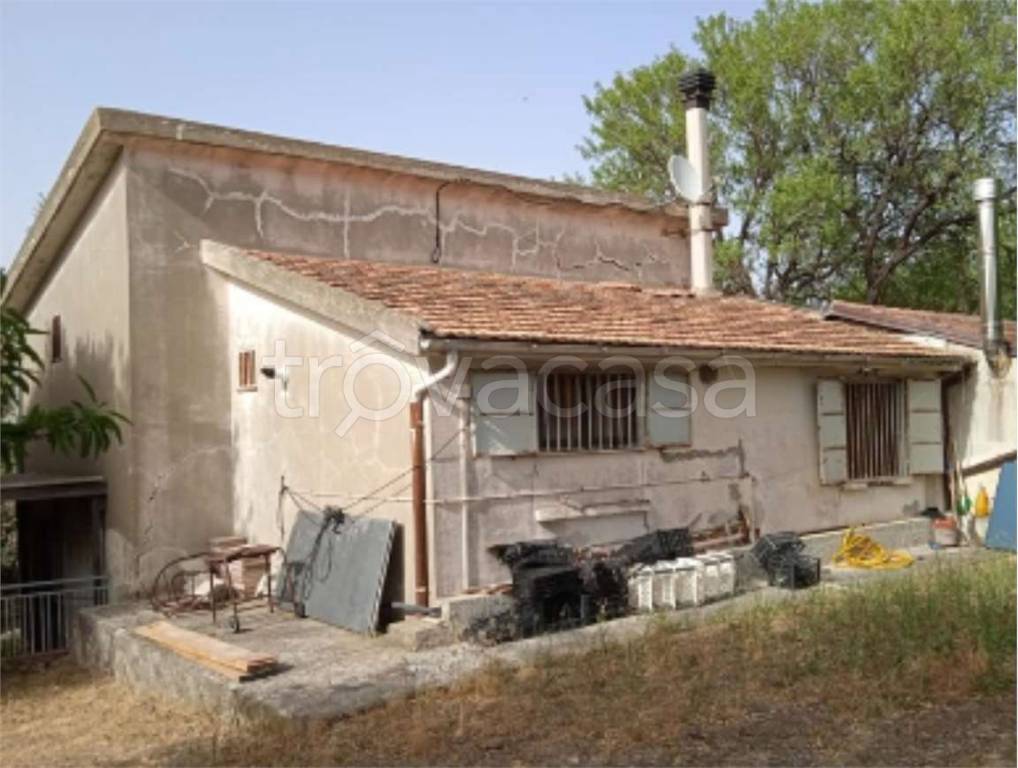 immagine annuncio 2 di 14