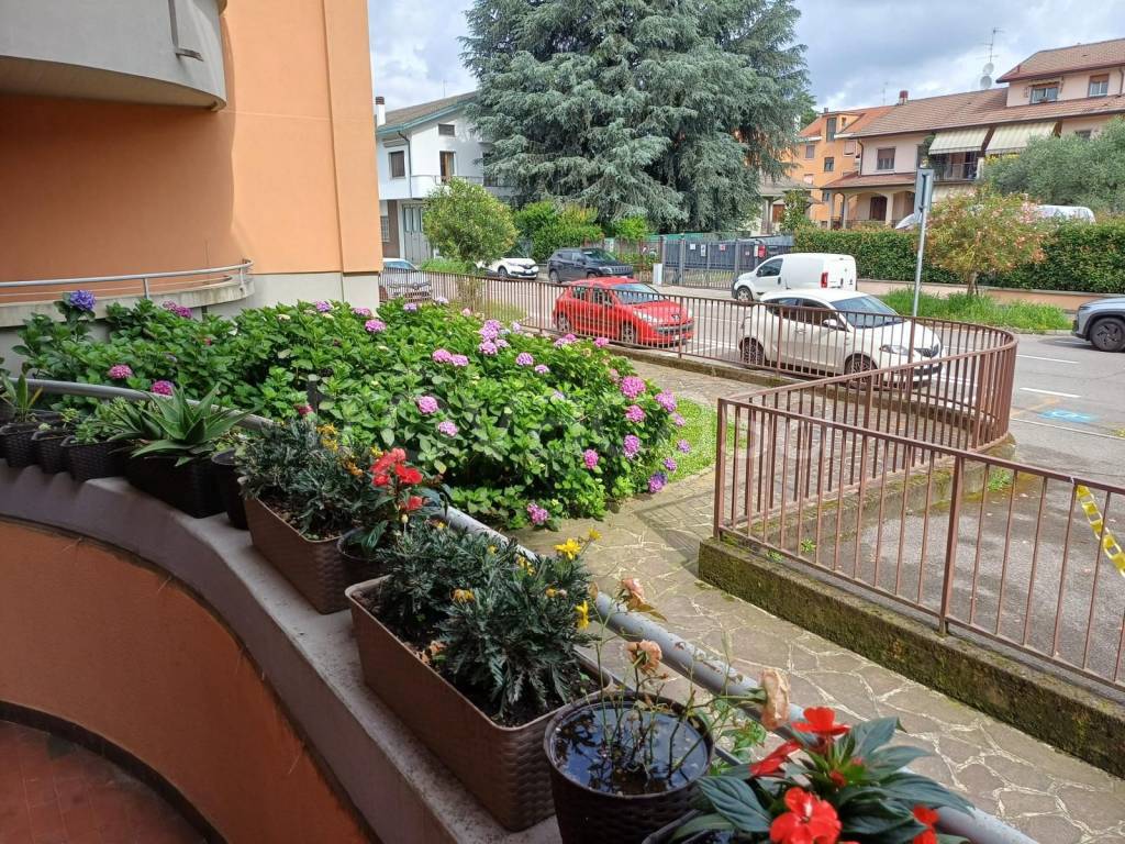 immagine annuncio 4 di 15