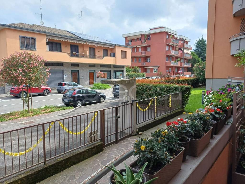 immagine annuncio 5 di 15