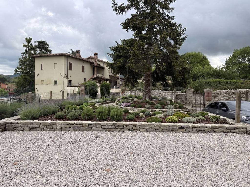 immagine annuncio 4 di 6