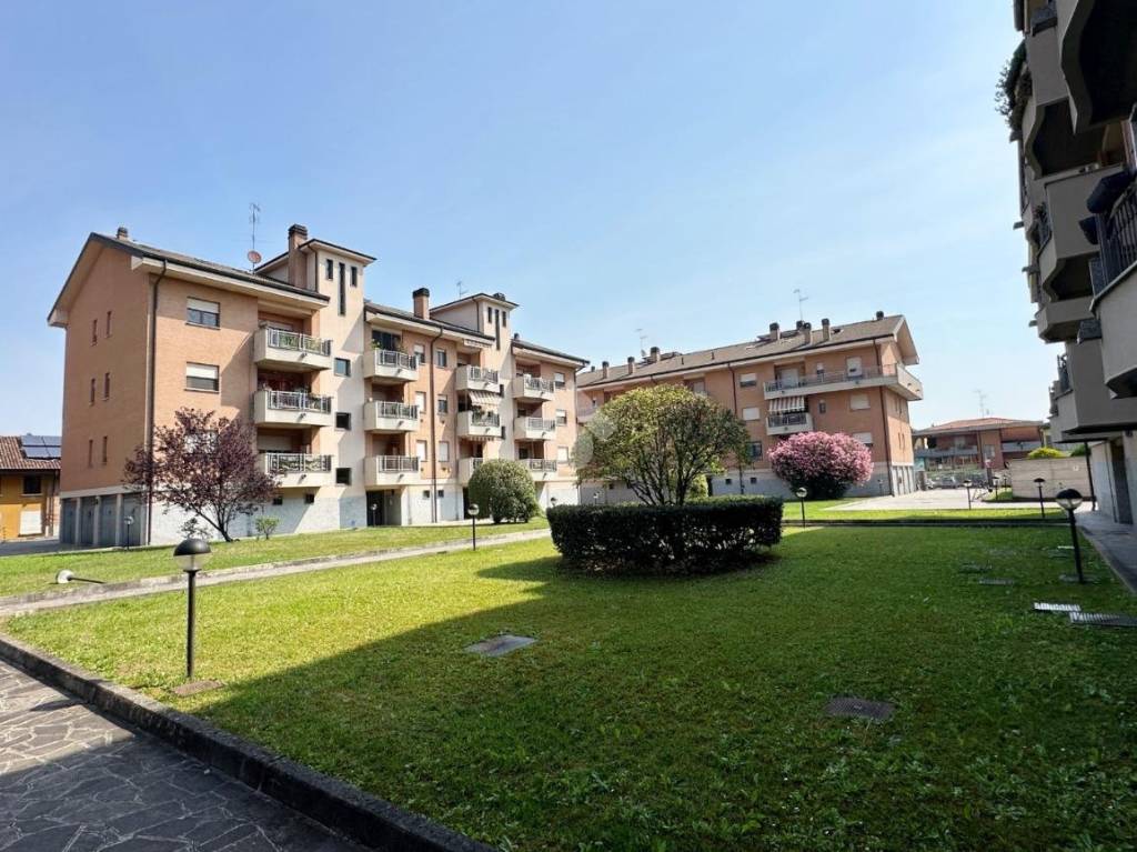 immagine annuncio 11 di 15
