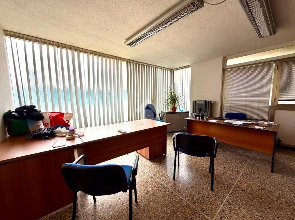 immagine annuncio 2 di 11