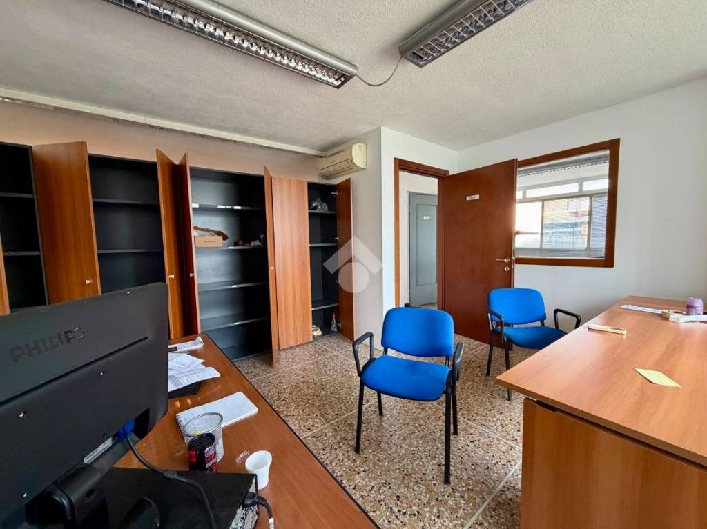 immagine annuncio 3 di 11