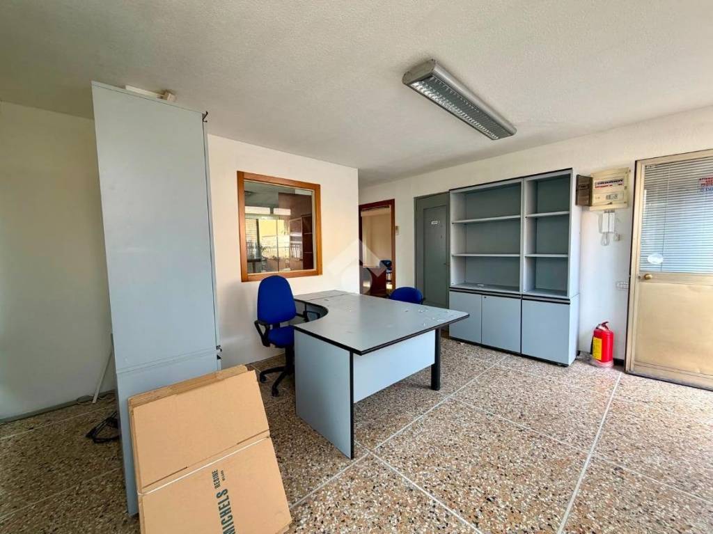 immagine annuncio 7 di 11
