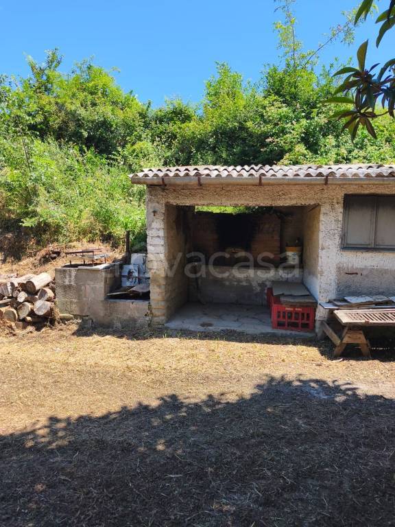 immagine annuncio 3 di 13