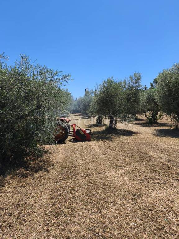immagine annuncio 10 di 13