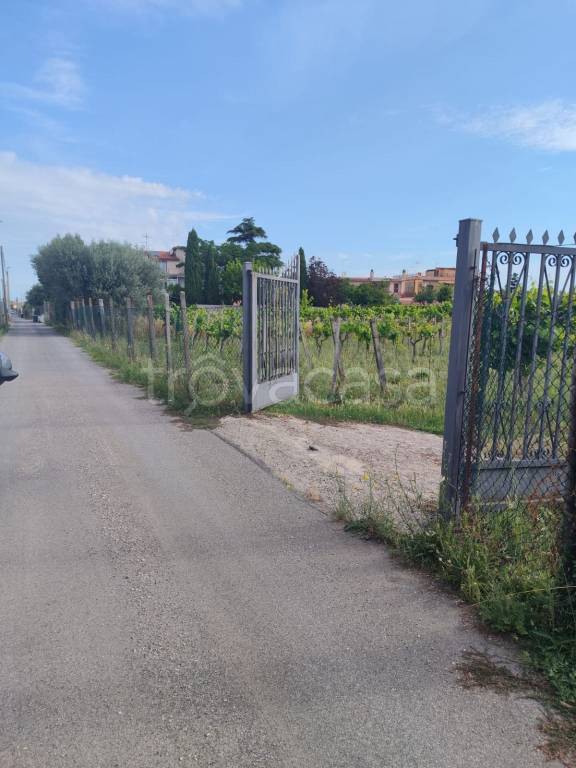 immagine annuncio 11 di 14