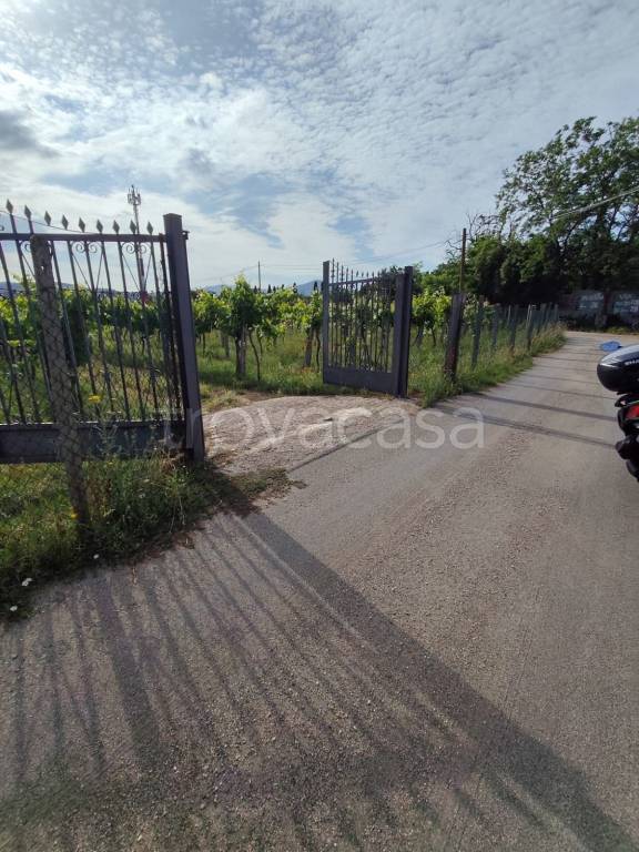 immagine annuncio 12 di 14