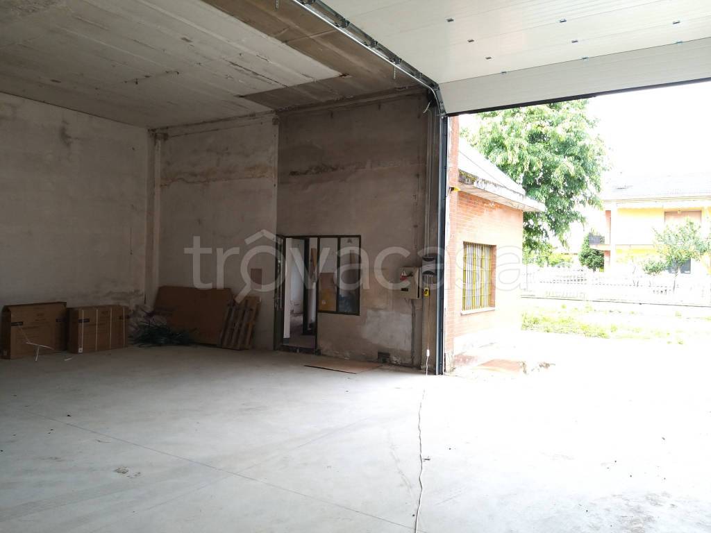 immagine annuncio 4 di 8