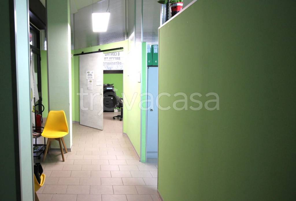 immagine annuncio 9 di 13