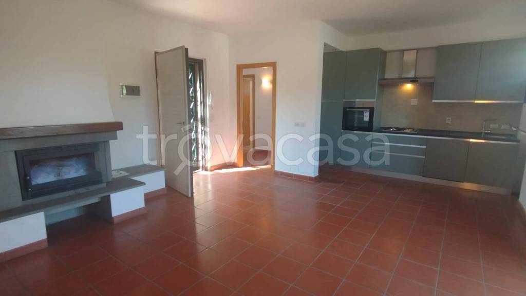 immagine annuncio 2 di 12