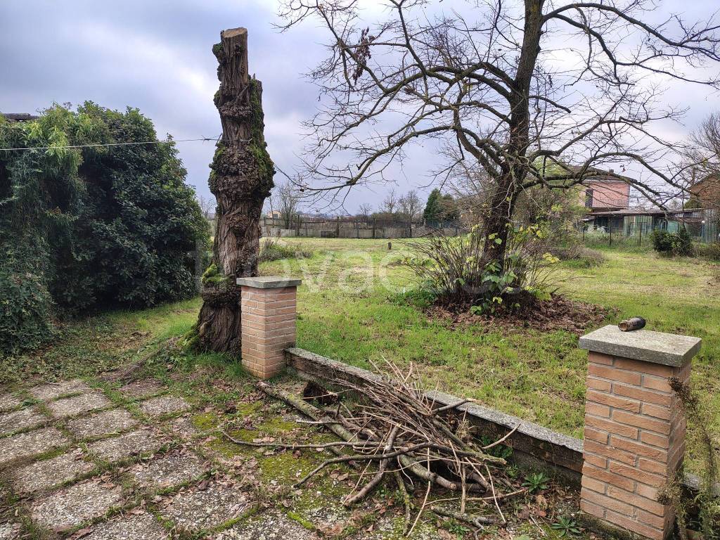 immagine annuncio 3 di 13