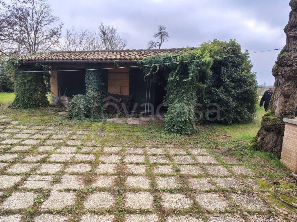 immagine annuncio 2 di 13
